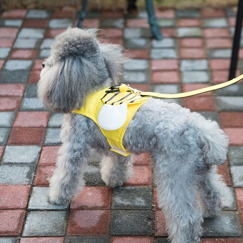 Set imbracature per cani - , di