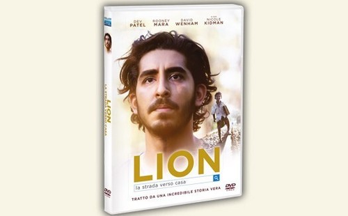 Lion strada verso - lion,