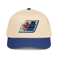 Pisa Calcio Minimalist Design