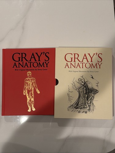 Gray anatomy henry - henry,