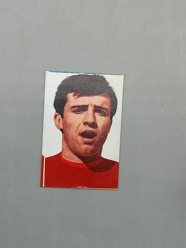 Figurina coppa rimet 1966 - figurina,
