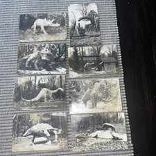(8) Cartoline d'epoca anni '30 Domke's Zoo Gardens Ossineke, Mi Dinosaur Park