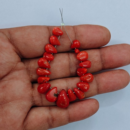 Autentico corallo rosso