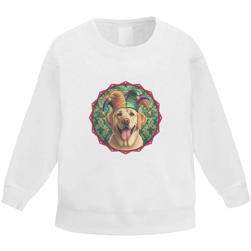 Felpa/maglione/maglione