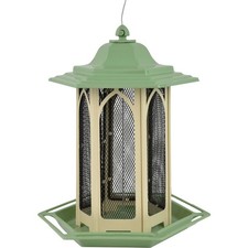 Pistacchio Perky-Pet 3,5