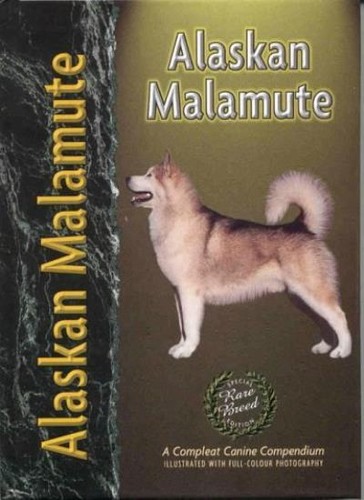 Alaskan malamute pet - alaskan,