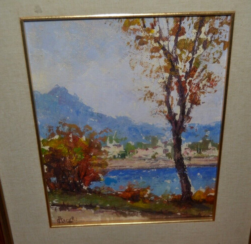 Alvaro corghi sul lago - corghi,
