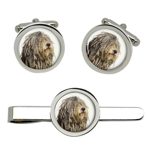 Bergamasco pastore cane - bergamasco,