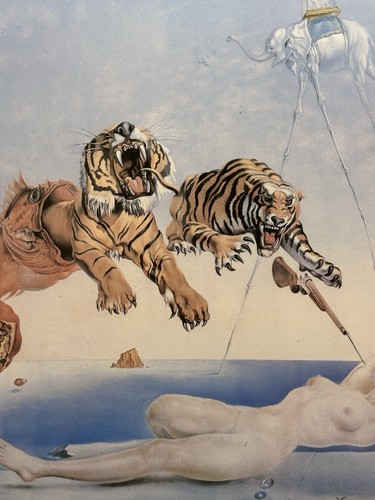 Salvador dali matted framed - salvador,