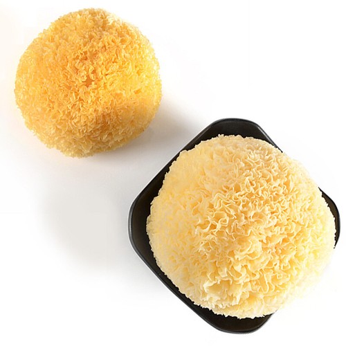 Tè funghi commestibile - funghi,