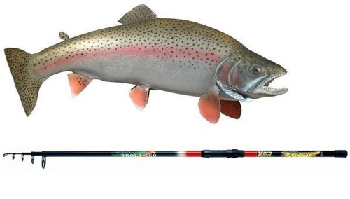 Canna trota zebco cool trout - trota,