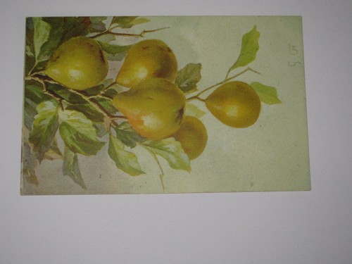 Cartolina illustrata viaggiata - cartolina,