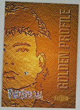 Jari Litmanen Profilo d'oro -