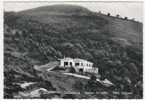 Vallombrosa saltino - vallombrosa,