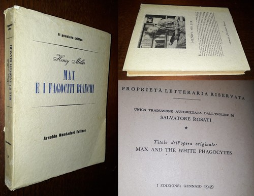 Max fagociti bianchi - max,