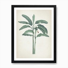 Quadro Stampa Tela Poster Wall