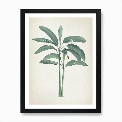 Quadro stampa tela - tela, wall