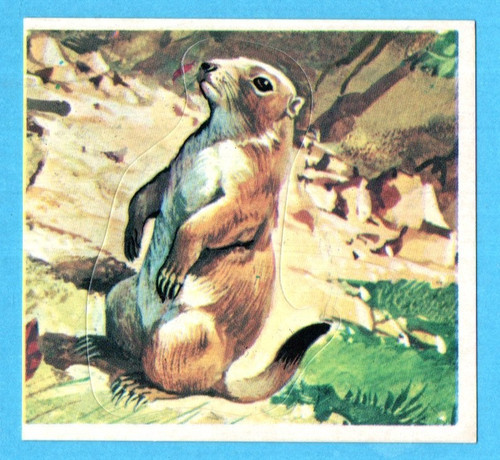 Zoo casa imperia - lo,