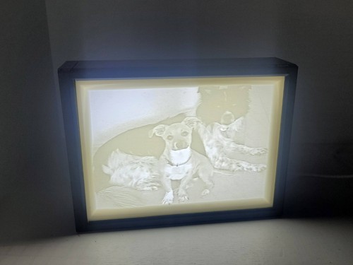 Regalo amante degli - regalo, animali