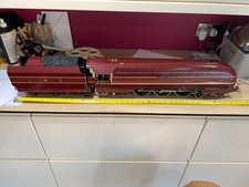  locomotiva a vapore vivo