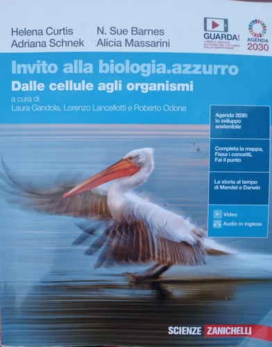 Libri scuole superiori - superiori, invito