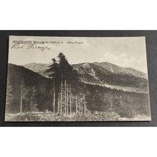 Cartolina Boscolungo (Abetone)