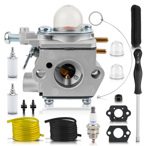 Carburatore strumento di - strumento,