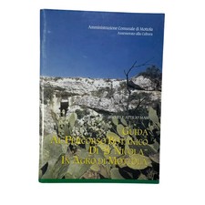 Michele A.Masi - GUIDA AL