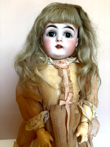 Biscotto tedesco bambino