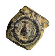 Anfora tipo acaro vedova molto