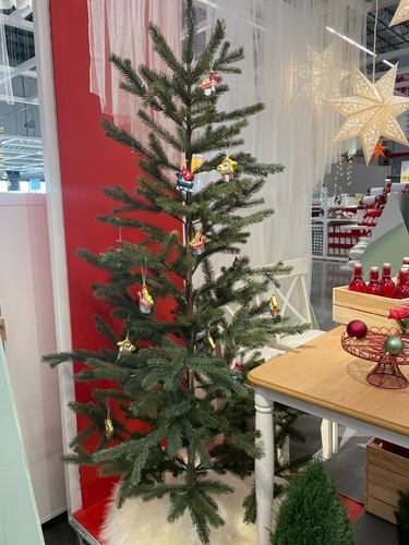 Ikea vinterfint pianta - ikea,