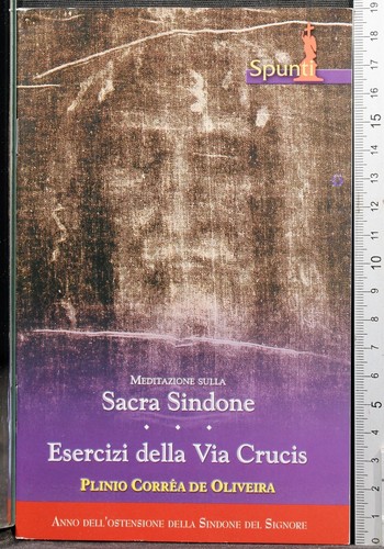 Meditazione sacra sindone - meditazione,