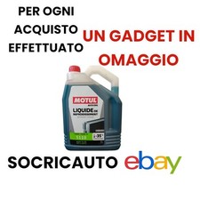 5 Litri Antigelo Liquido