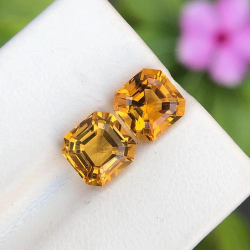 Coppia zaffiro giallo ceylon - coppia,