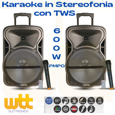 Coppia casse amplificate