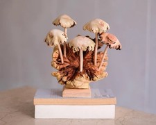 Scultura funghi della foresta