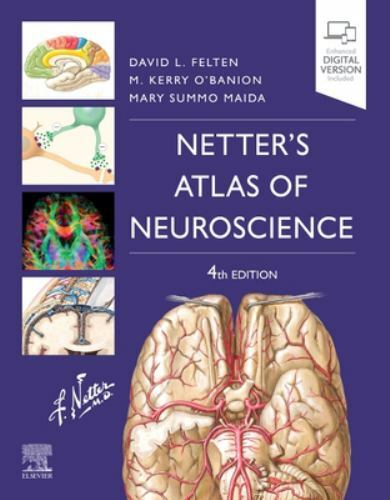 Netter atlas neuroscience - netter's,