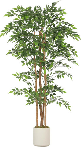 Albero ficus artificiale - ficus,