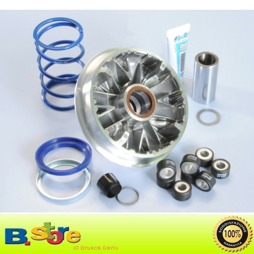241 693 variatore polini - variatore,