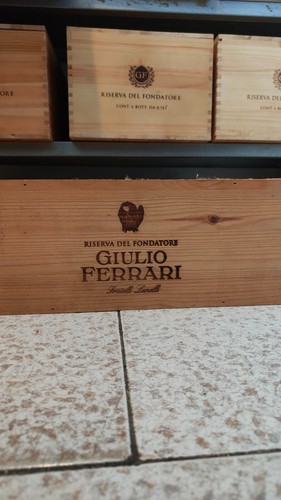 Giulio ferrari 2006 magnum - giulio,
