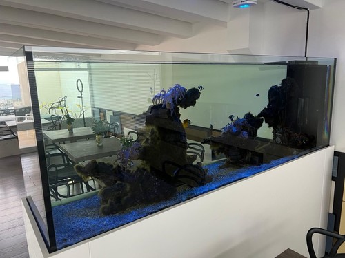 Acquario marino elegante - marino, elegante-
