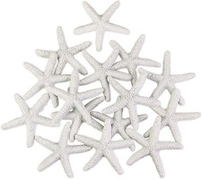 15 Pezzi Stella Marina