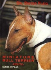 Miniature bull terrier - bull,