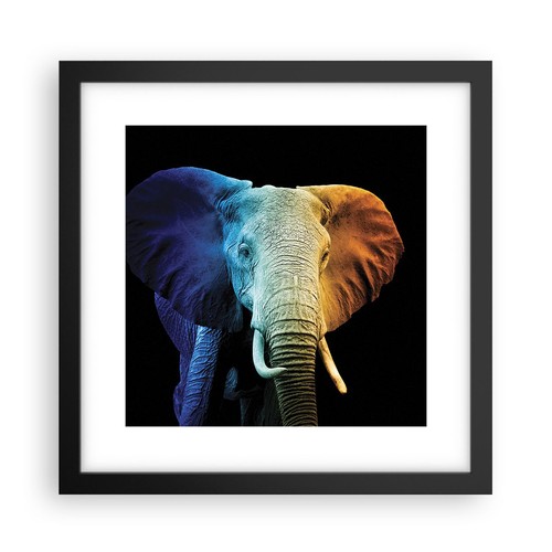 Poster 30x30cm colorato - poster,