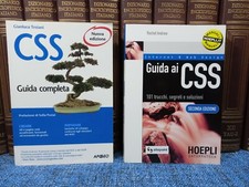 Lotto 2 libri Gianluca Troiani Andrew GUIDA AI CSS Segreti e soluzioni HOEPLI