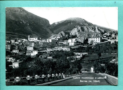 Parco nazionale - parco,