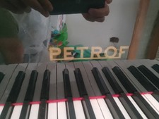 pianoforte a coda usato