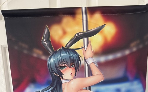 Taimanin rpgx asagi - igawa, b2