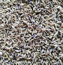 Fiori di lavanda essiccati 1