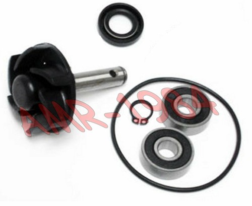 Kit revisione pompa acqua - revisione,